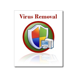 Virus Removal Service